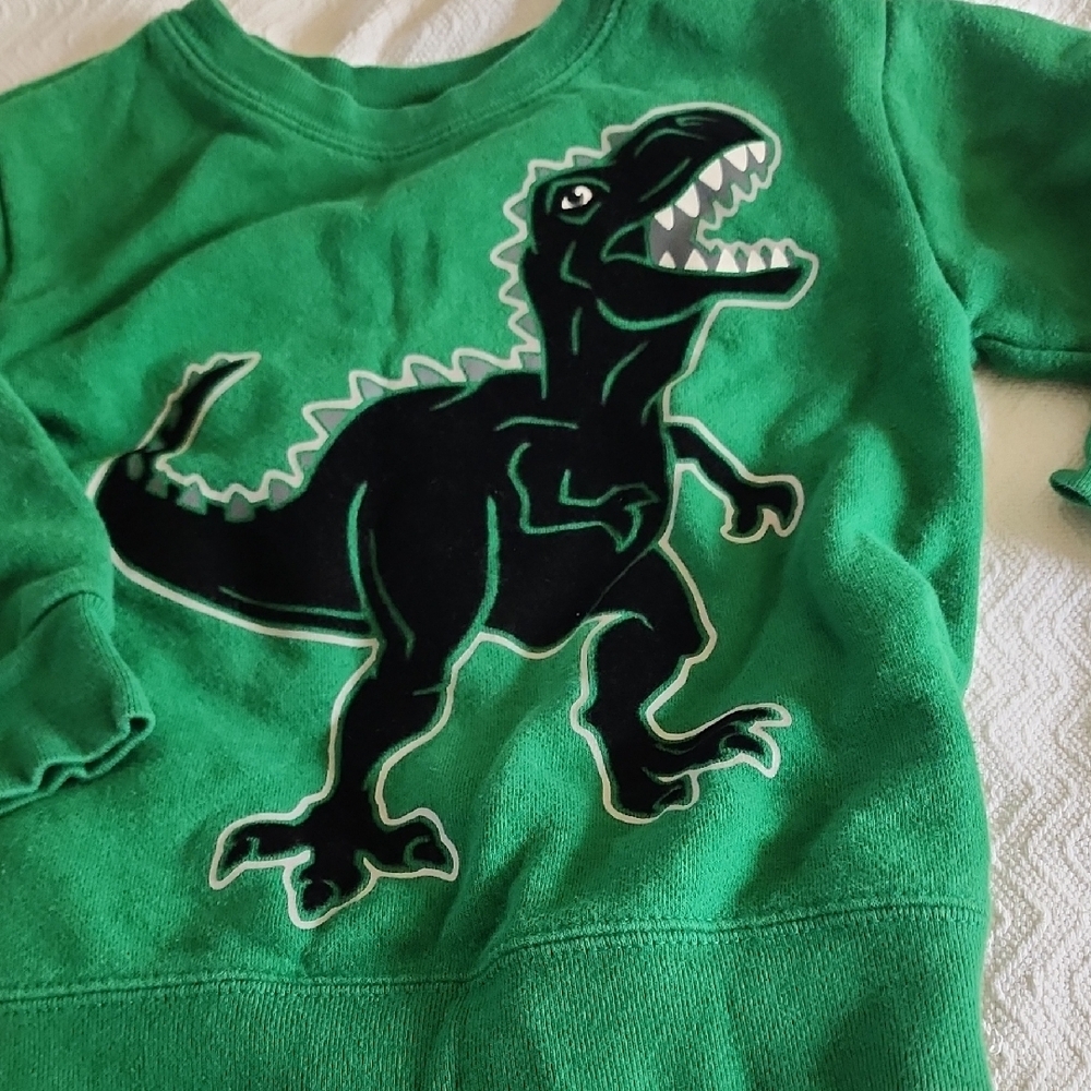 Dinosaur Graphic Green Sweatshirt and Tan Pants Set - Picture 3 of 8